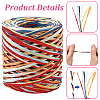 Segment Dyed Raffia Paper Cords for DIY Craft OCOR-WH20020-27H-3