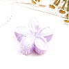 Resin Claw Hair Clips PW-WG0E0E6-08-1