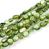 Natural White Shell Beads Strands SHEL-N036-21D-1
