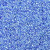 MIYUKI Round Rocailles Beads X-SEED-G007-RR0299-3