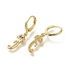 Brass Clear Cubic Zirconia Hoop Earrings EJEW-M045-01J-2