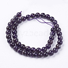 Natural Amethyst Beads Strands G-S030-6