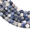 Natural Sodalite Beads Strands G-D691-8mm-6
