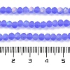 Transparent Glass Beads Strands LS-EGLA-A034-T4mm-MB14-5