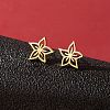 Stainless Steel Stud Earrings for Women PW-WGFE412-27-1