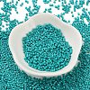 Baking Paint Glass Seed Beads X-SEED-S042-05B-57-2