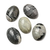 Natural Picasso Jasper Cabochons G-C115-01A-37-1