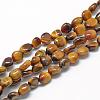 Natural Tiger Eye Beads Strands G-R445-8x10-05-1