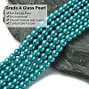 Eco-Friendly Dyed Glass Pearl Round Bead Strands LS-HY-A008-6mm-RB073-3