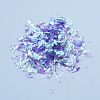 Plastic Candy Sequins/Paillette Chip DIY-I019-02K-2