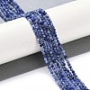 Natural Sodalite Beads Strands G-G139-A07-02-2