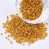 Cylinder Seed Beads SEED-Q036-02A-A01-1