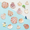 32Pcs 8 Styles Electroplated Natural Mixed Shell Pendants SSHEL-SC0001-62D-7