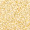 TOHO Round Seed Beads SEED-JPTR08-1846-4