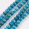 Natural Apatite Beads Strands G-F568-020-6mm-1