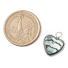 Natural Abalone Shell/Paua Shell Copper Wire Wrapped Pendants PALLOY-JF03007-2