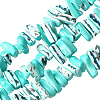 1 Strand Dyed Natural Trochus Shell Beads Strands SSHEL-PA0001-01D-1