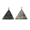 Natural Labradorite Pendants G-K338-36P-1