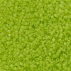 MIYUKI Delica Beads SEED-JP0008-DB0766-3