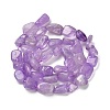 Natural Amethyst Beads Strands G-P497-01E-22-3