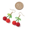 Glass Seed Beads Cherry Dangle Earrings EJEW-MZ00300-3