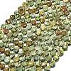 Natural Rhyolite Jasper Beads Strands G-C116-A74-02-2