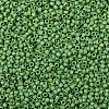 TOHO Round Seed Beads X-SEED-TR08-0407F-2