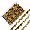 24Yards Filigree Polyester Lace Trim OCOR-GF0005-28C-7