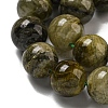 Natural Green Tourmaline Beads Strands G-B099-C05-06-4