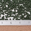 MIYUKI Delica Beads SEED-X0054-DB2291-4