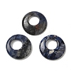 Natural Sodalite Pendants G-T122-76L-1