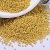 MIYUKI Delica Beads SEED-X0054-DB2102-1