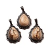 Natural Picture Jasper Teardrop Pendants G-K363-01R-21-1