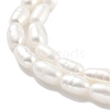 Natural Cultured Freshwater Pearl Beads Strands PEAR-P062-01E-4