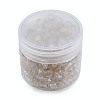 Transparent Glass Beads EGLA-N002-49-A04-2