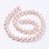 Shell Pearl Beads Strands X-BSHE-L035-6mm-I01-2