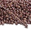 TOHO 6/0 Round Beads SEED-XTR06-1203-2