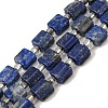 Natural Lapis Lazuli Beads Strands G-Z087-D01-2