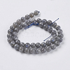 Natural Labradorite Beads Strands G-G213-8mm-03-2