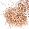 TOHO 8/0 Round Beads SEED-XTR08-0031-1