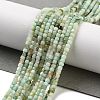 Natural Chrysoprase Beads Strands G-G140-C07-02A-2