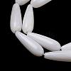 Natural Freshwater Shell Beads Strands SHEL-A004-03A-3