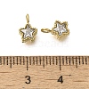 304 Stainless Steel Micro Pave Cubic Zirconia Charms STAS-U027-02G-01-3