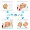 DIY Dangle Earring Making Kits DIY-FH0001-35-4