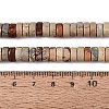 Natural Shoushan Stone Beads Strands G-N367-03A-06-5
