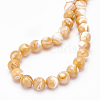 BENECREAT 1 Strand Natural Sea Shell Round Bead Strands SSHEL-BC0001-19-3