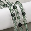 Dyed Round Natural Crackle Quartz Beads Strands G-K084-8mm-04A-5