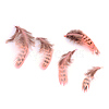 Chicken Feather Costume Accessories X-FIND-Q460-05-1