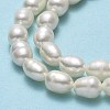 Natural Cultured Freshwater Pearl Beads Strands PEAR-J006-14C-01-4