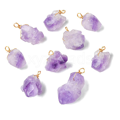 10Pcs Natural Amethyst Pendants PALLOY-CJ00158-1
